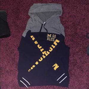 PINK Michigan Hoodie